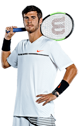 维尔茨第8 维尔茨第8