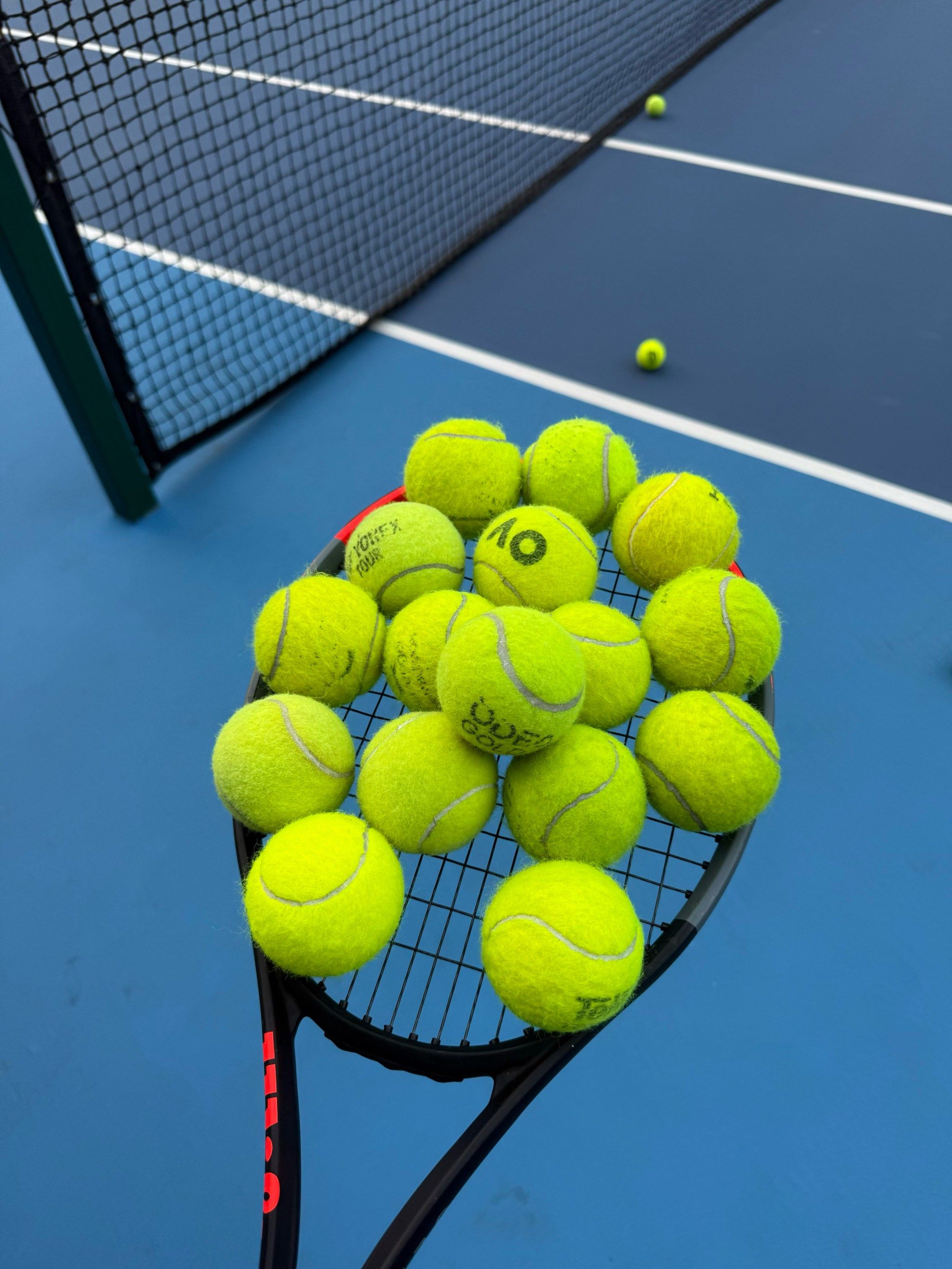 他们在比赛 他们在比赛