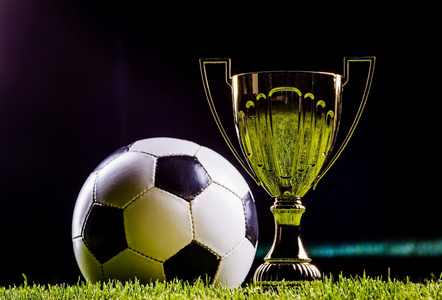 完善自己的 完善自己的