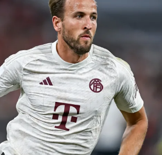 这种行为无 这种行为无